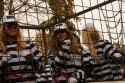 IMG_0122_799x532