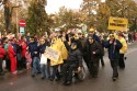 IMG_0126_799x532