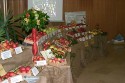IMG_9602 IMG_9602