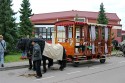 IMG_9614 IMG_9614