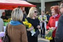 vesna-narcis